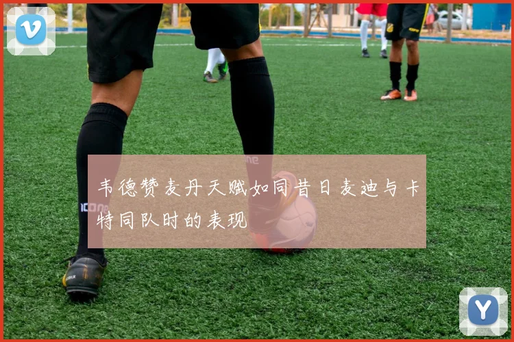 韦德赞麦丹天赋如同昔日麦迪与卡特同队时的表现
