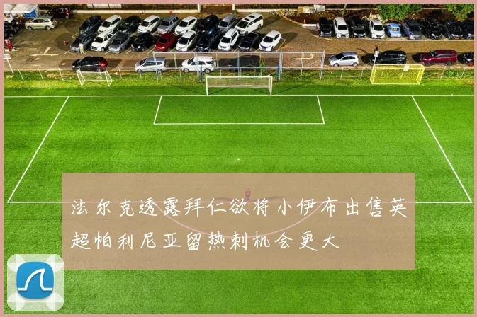 法尔克透露拜仁欲将小伊布出售英超帕利尼亚留热刺机会更大