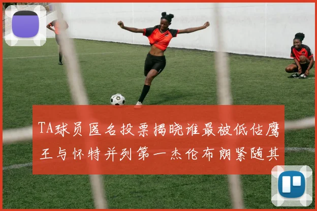 TA球员匿名投票揭晓谁最被低估鹰王与怀特并列第一杰伦布朗紧随其后