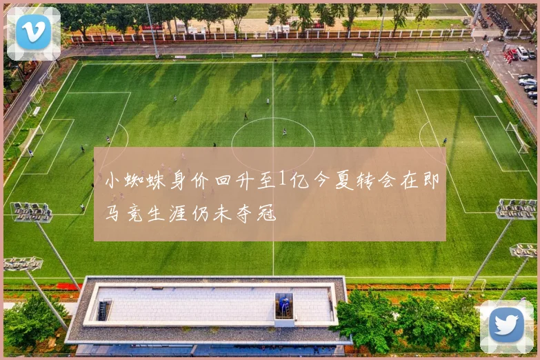 小蜘蛛身价回升至1亿今夏转会在即马竞生涯仍未夺冠